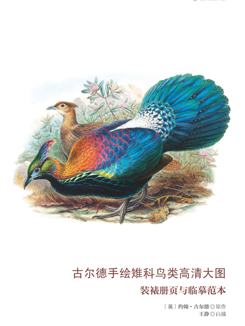 古爾德手繪雉科鳥類高清大圖：裝裱冊頁與臨摹範本