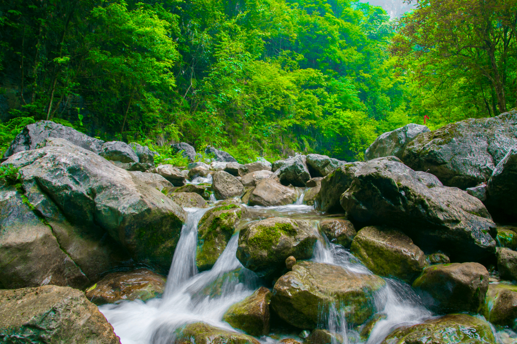 長陽木橋溪生態旅遊度假區