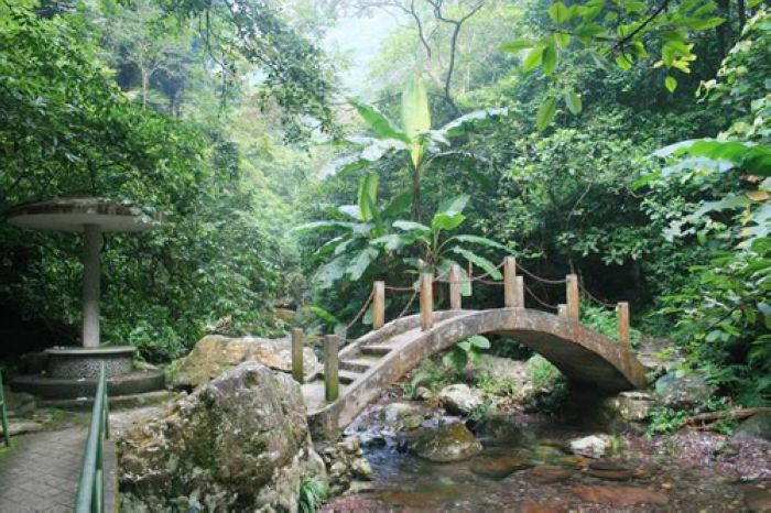 東鄉鎮(廣西壯族自治區來賓市武宣縣東鄉鎮)