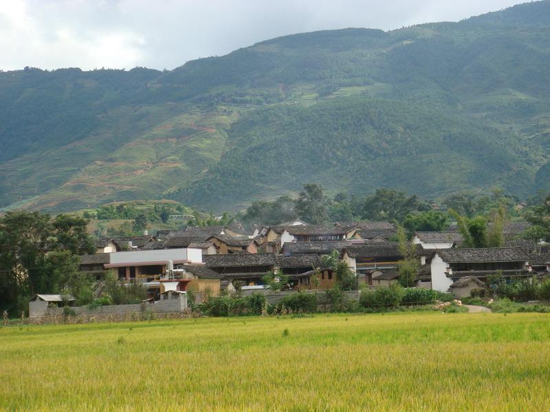 雙河村(雲南省保山市隆陽區蒲縹鎮下轄村)