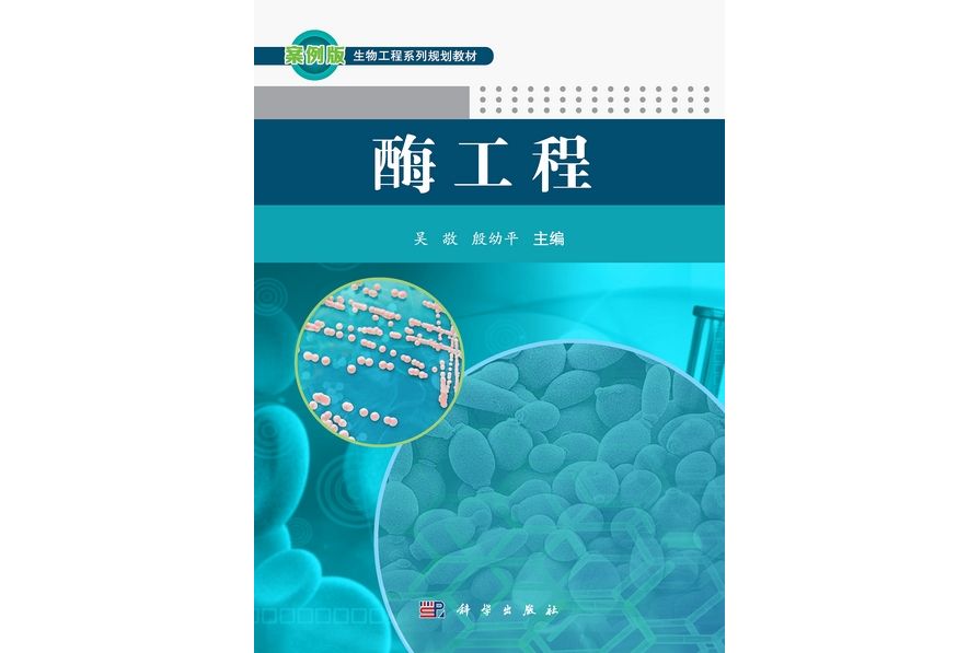 酶工程(2013年3月科學出版社出版的圖書)