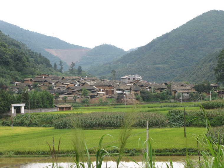 大魚塘村(雲南峨山縣雙江鎮土官村民委員會下轄村)