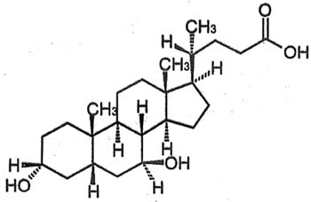 熊去氧膽酸片