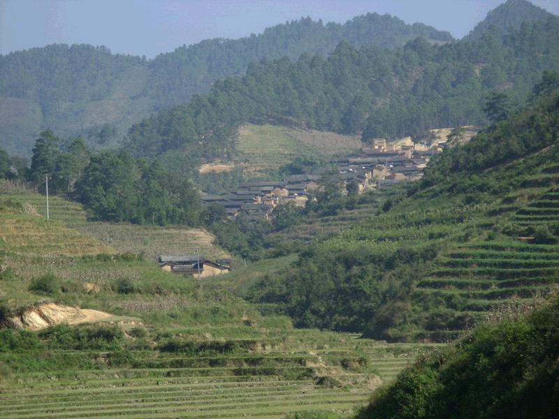 上沖革自然村(祥啟上沖革自然村)