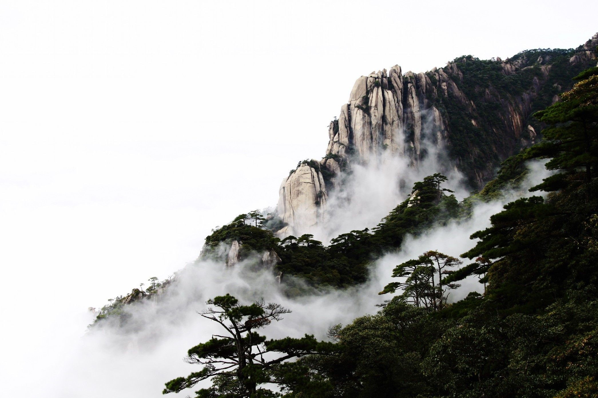 廬山旅行社金色假期