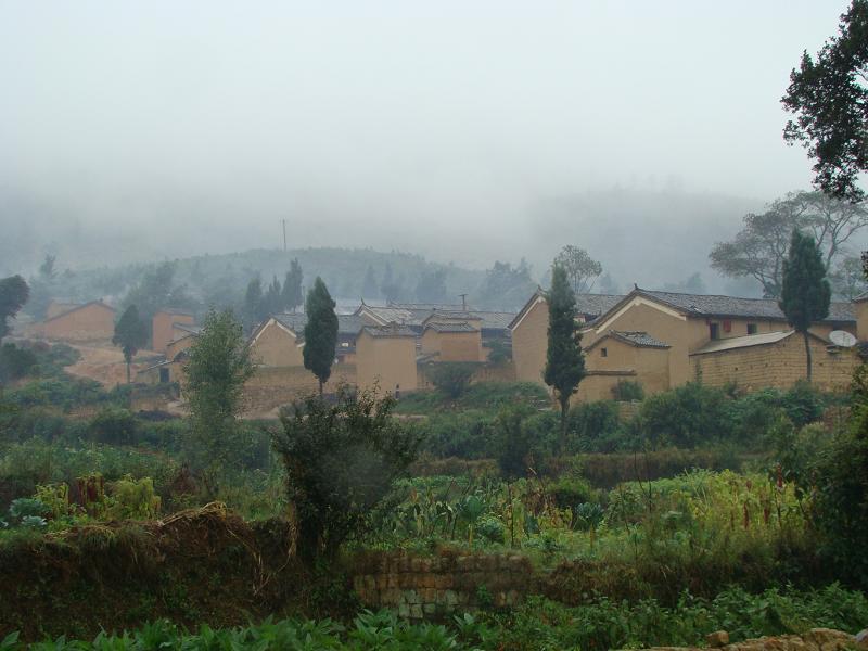 大白坡村(雲南馬龍縣通泉鎮下轄村)