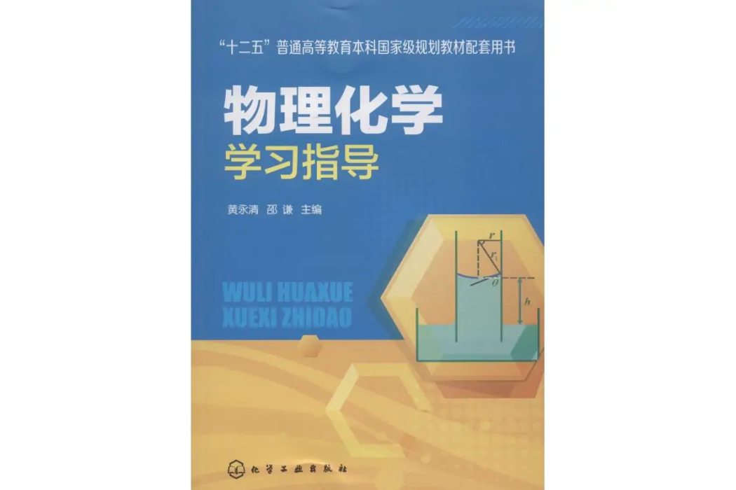 物理化學學習指導(2019年化學工業出版社出版的圖書)