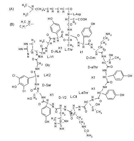 β-內酞胺類抗生素