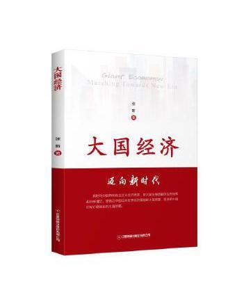 大國經濟(2023年中國財富出版社出版的圖書)