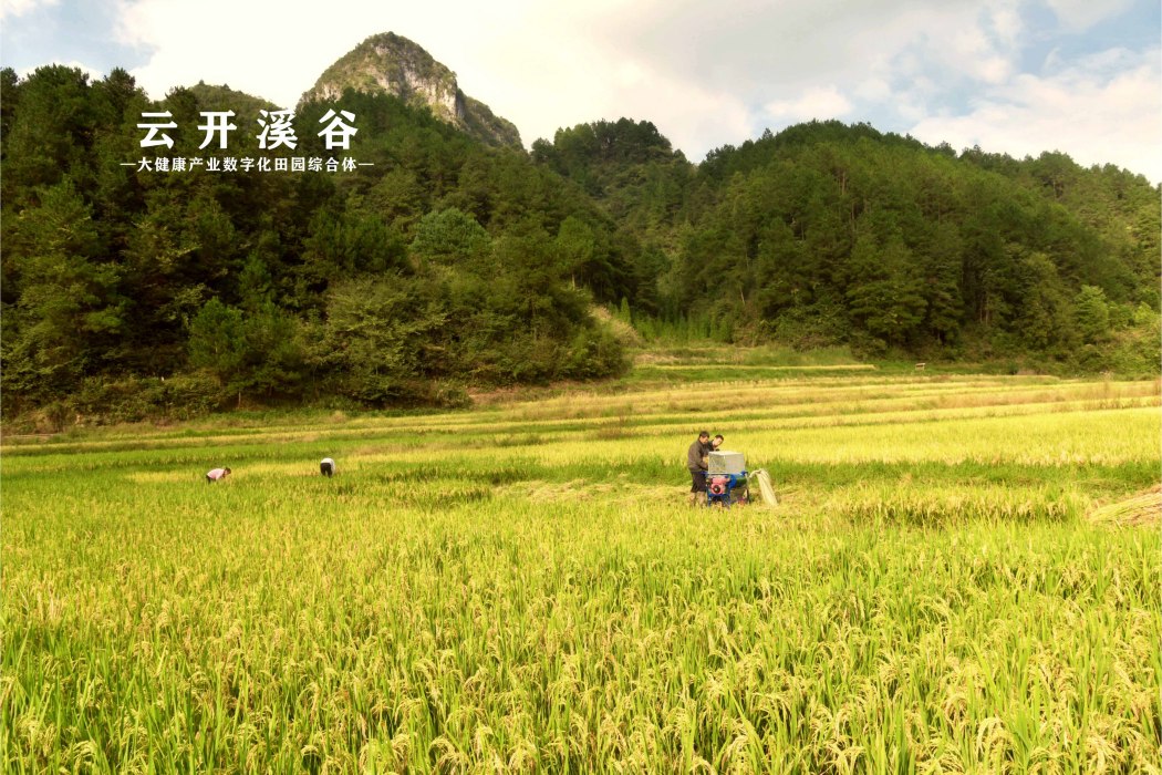 雲開溪谷