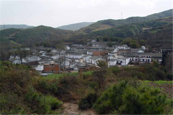 西沖村(雲南省昆明官渡區大板橋西沖村委會)