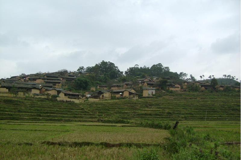 石九龍村