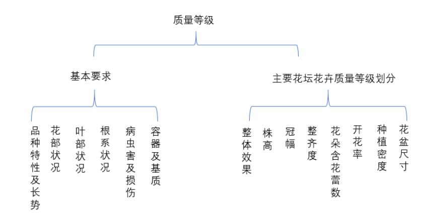 主要花壇花卉質量等級