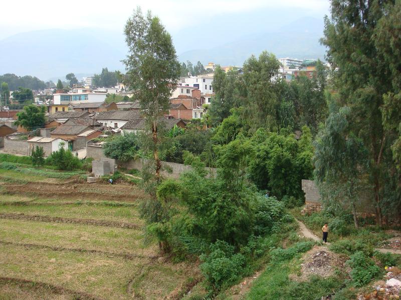 石羊村(雲南省昆明市東川區轄村)