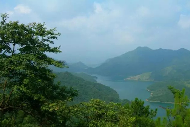 蒙山縣六坪村