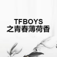 TFBOYS之青春薄荷香