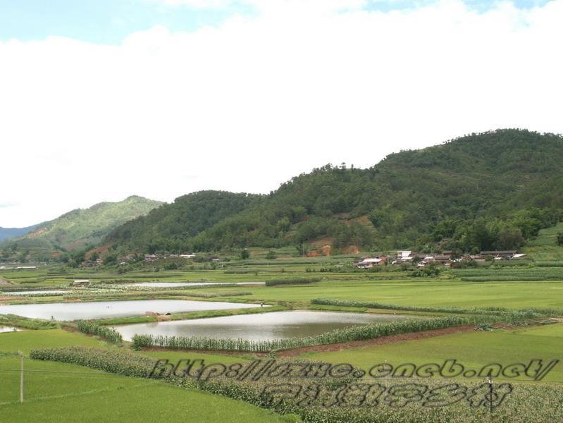 小河家寨村