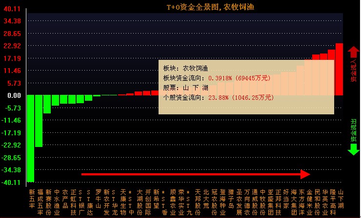 T+0資金全景圖