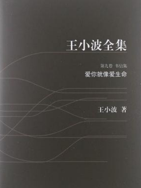 王小波全集（第九卷）(2007年雲南人民出版社出版的圖書)