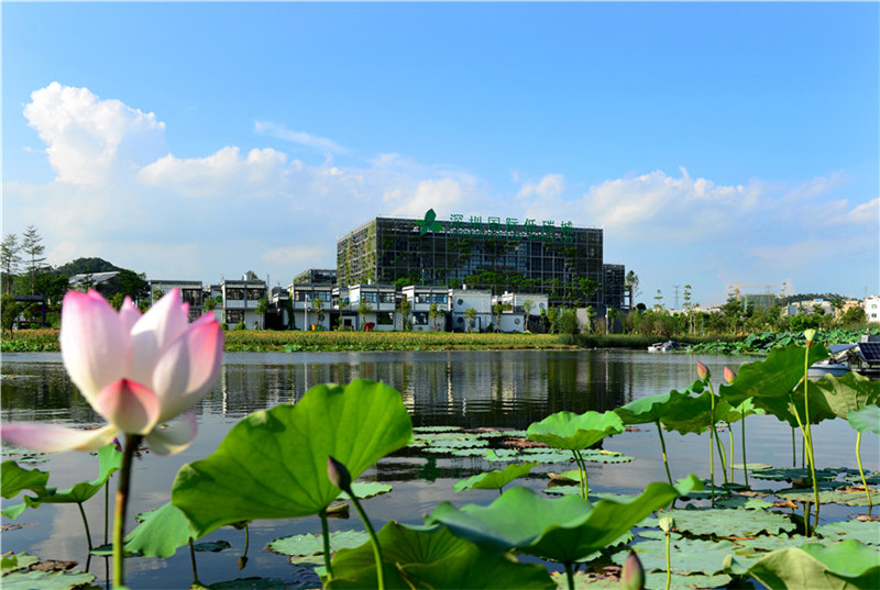 龍崗“新十景”——低碳新城