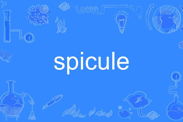 spicule