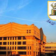 開羅大學(埃及開羅大學)