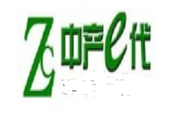 成都市中產一代信息技術有限責任公司