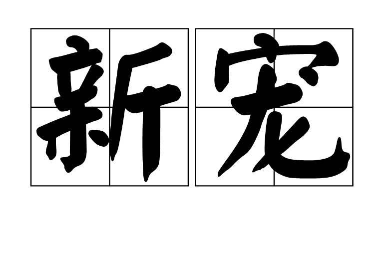 新寵(漢語詞語)