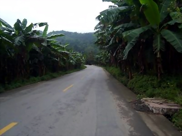 新莊科村進村道路.