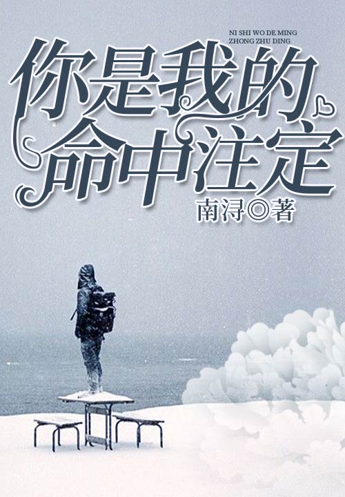 你是我的命中注定(九庫文學網小說)