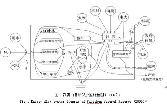 能值分析