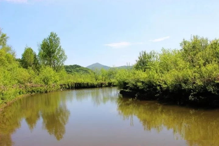 蝲蛄河濕地公園