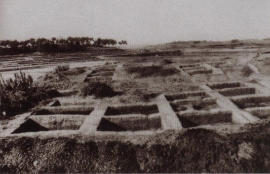 石家河遺址發掘現場歷史圖片