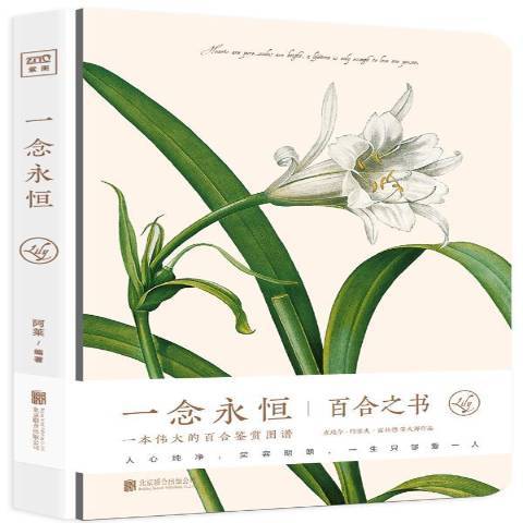 一念永恆(2017年北京聯合出版公司出版的圖書)