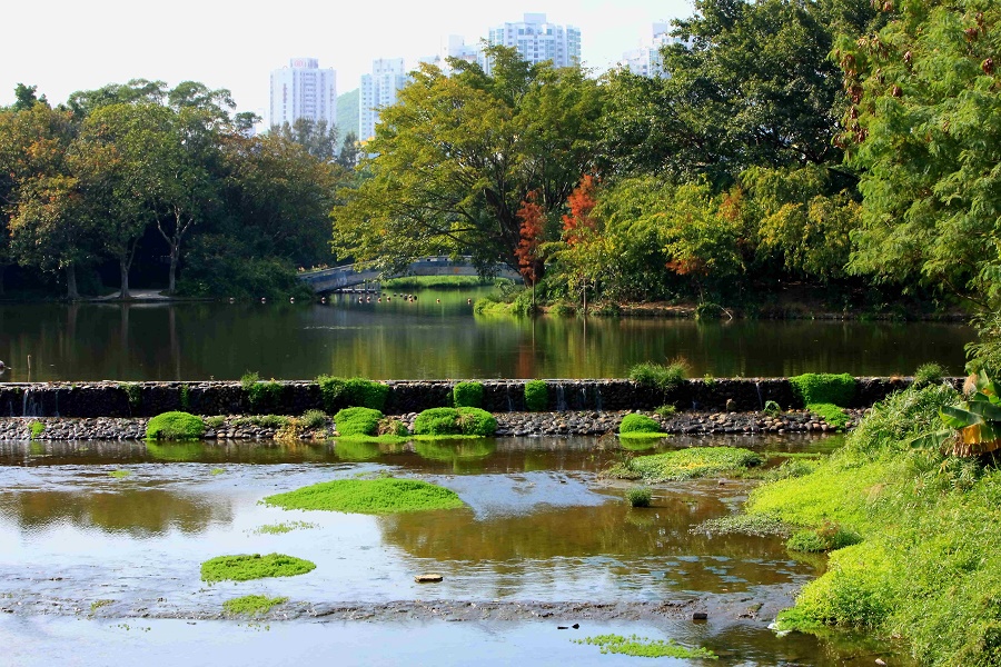 東部花園