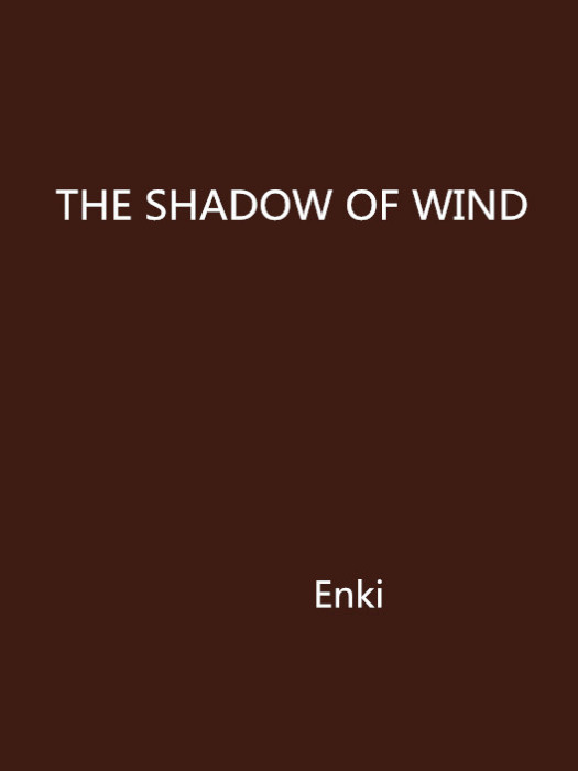 THE SHADOW OF WIND