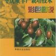 棗優質豐產栽培技術彩色圖說(2002年中國農業出版社出版的圖書)