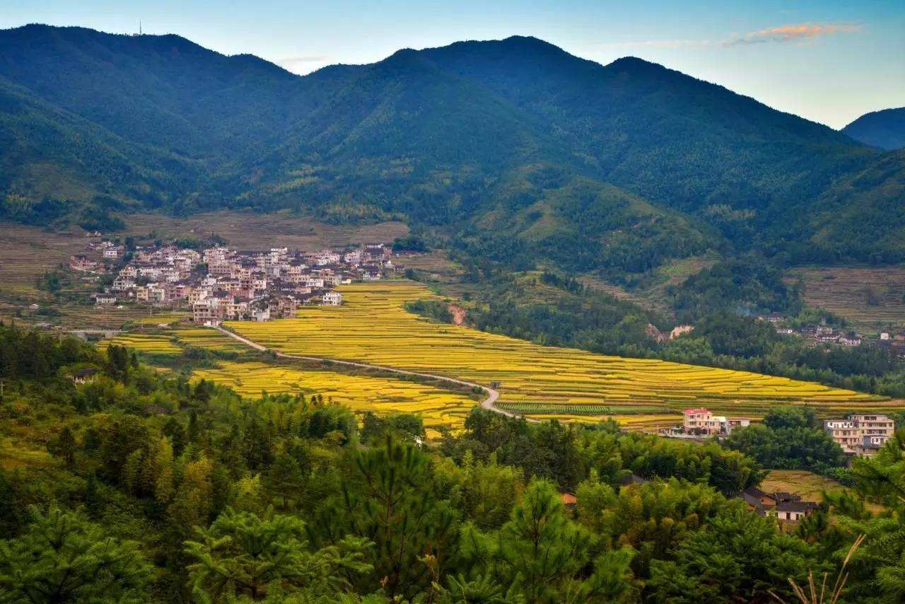 堡里村(山西省新絳縣橫橋鄉下轄村)