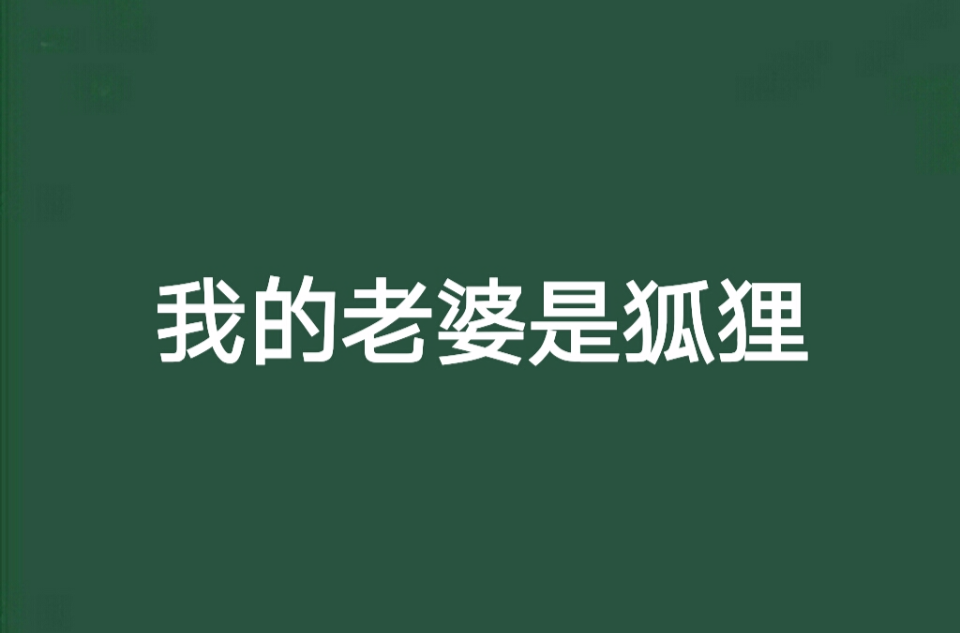 我的老婆是狐狸(我的老婆是狐狸皇甫仙)