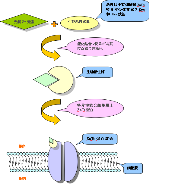 深圳市弗萊蒙科技有限公司