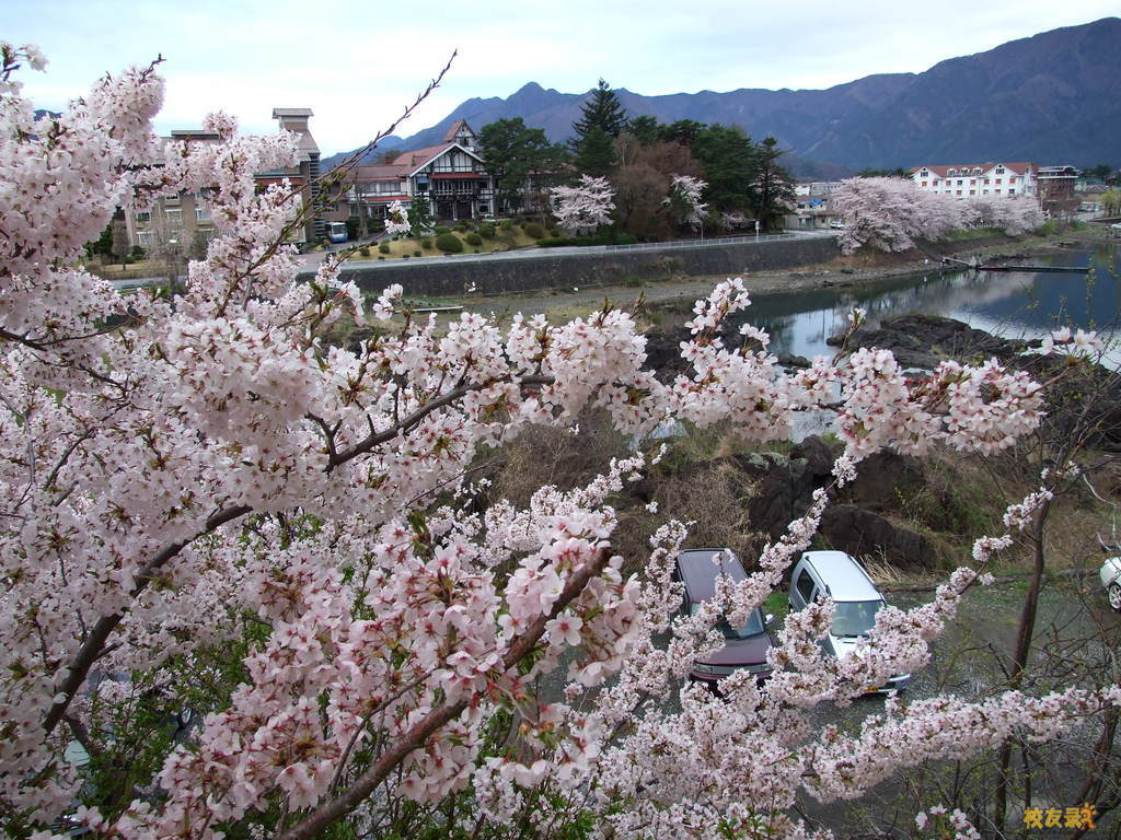 舊城鎮(河北辛集市舊城鎮)