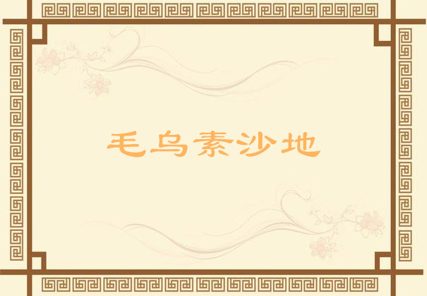 毛烏素沙地(人民出版社出版圖書)