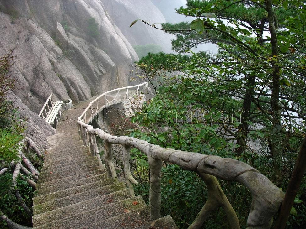 松谷景區(黃山松谷景區)