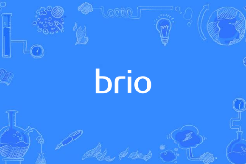 brio(決策支持平台)