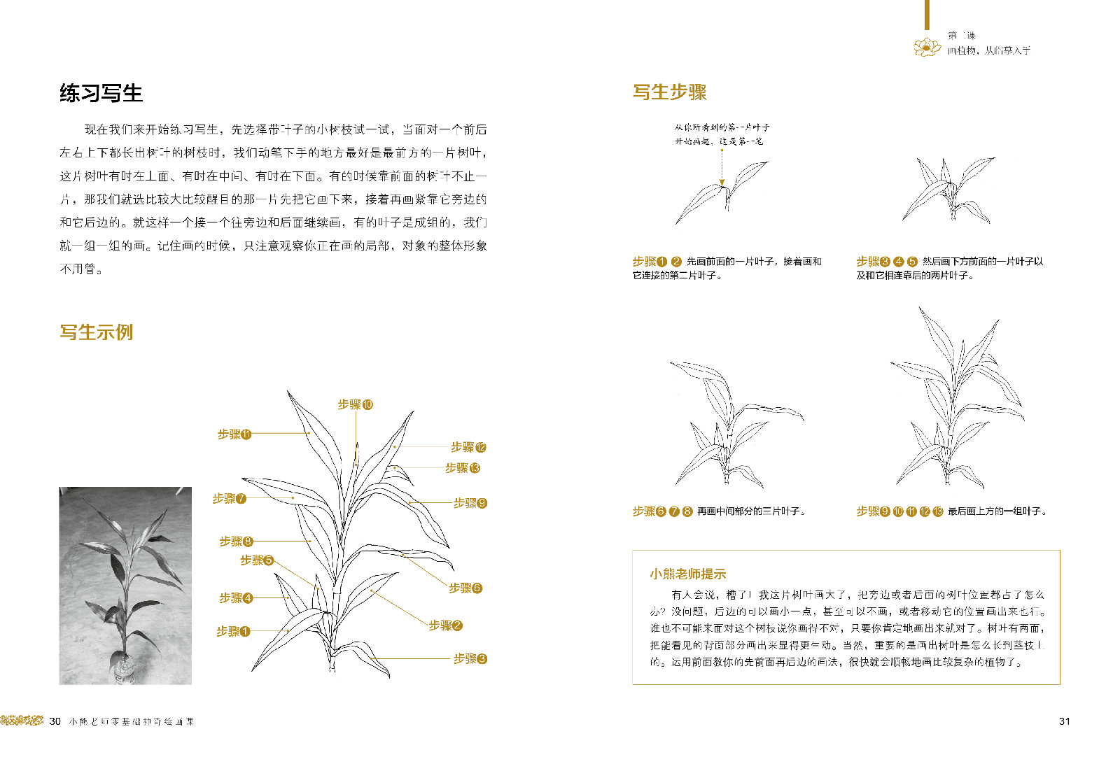 小熊老師的零基礎神奇繪畫課