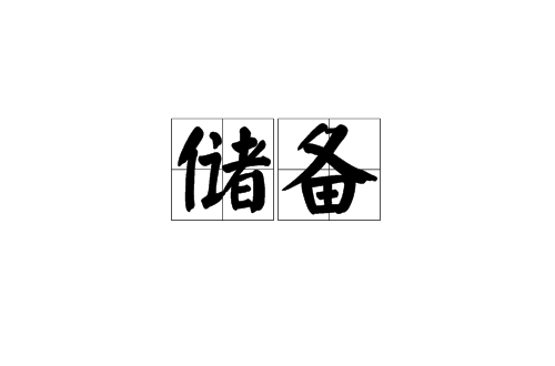 儲備(漢語詞語)