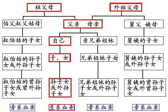 三代旁系血親