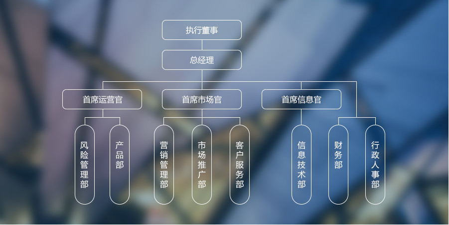 公司組織架構