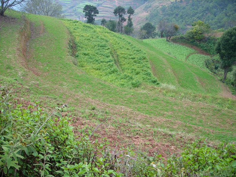 鑼鍋塘村