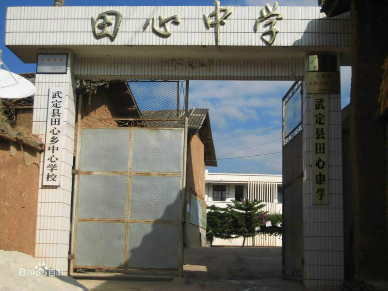 田心中學(雲南省武定縣田心鄉田心中學)